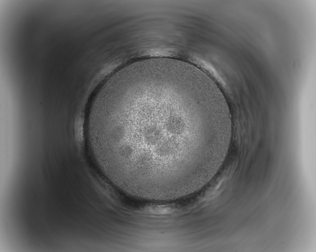 X0000098070299200804110928