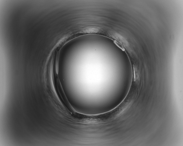 X0000098070300200804110928