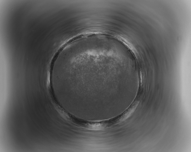 X0000098070301200804110928