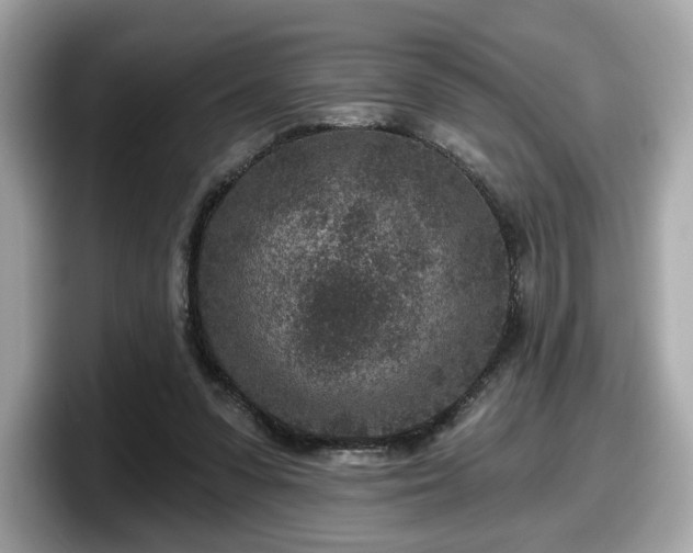 X0000098070303200804110928