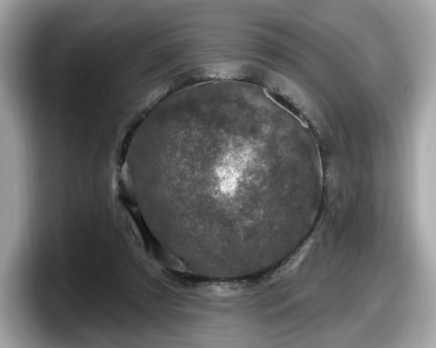 X0000098070305200804110928