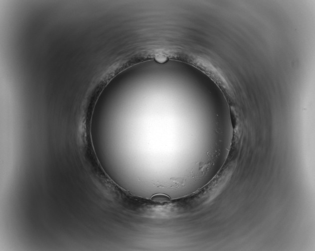 X0000098070306200804110928