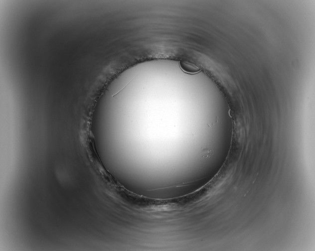 X0000098070307200804110928