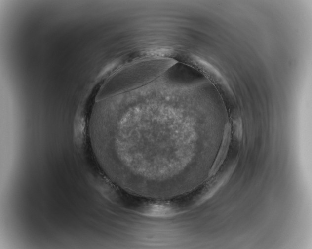 X0000098070308200804110928