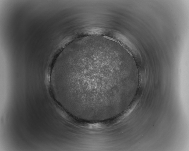 X0000098070309200804110928