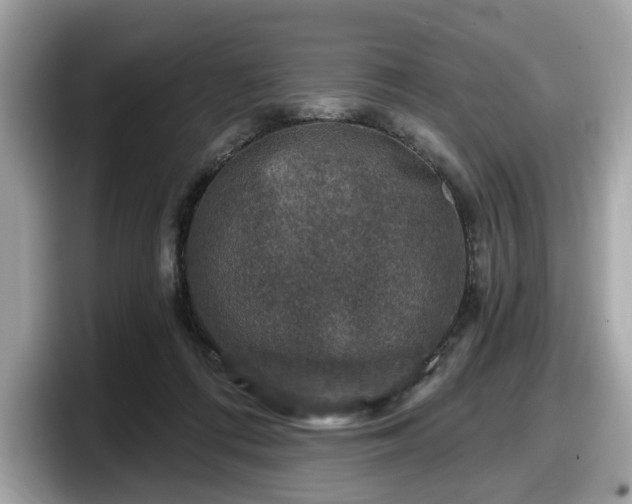 X0000098070312200804110928