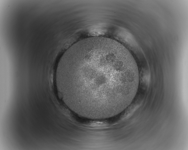 X0000098070315200804110927