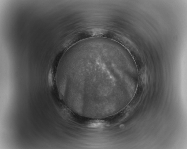 X0000098070316200804110927