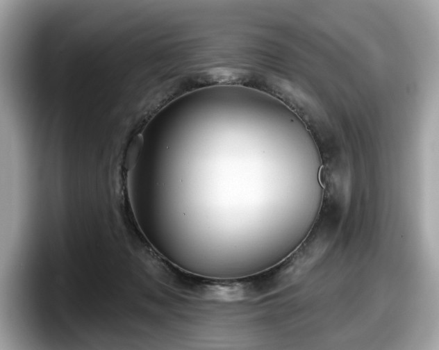 X0000098070317200804110927