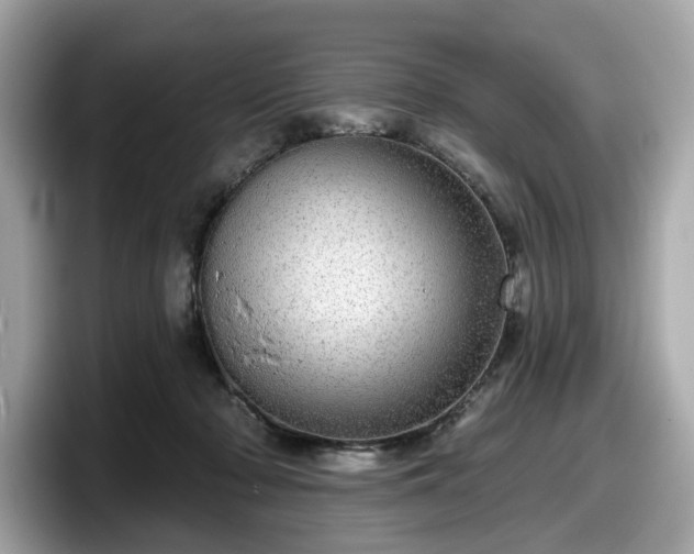 X0000098070318200804110927