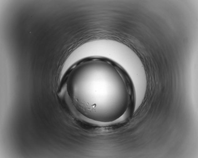 X0000098070320200804110927