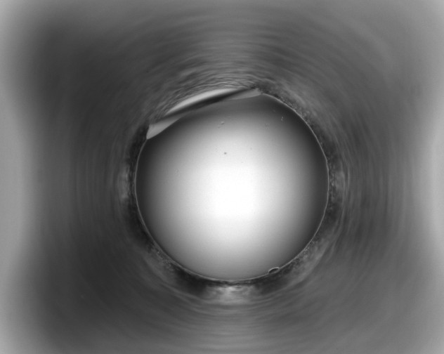 X0000098070323200804110927