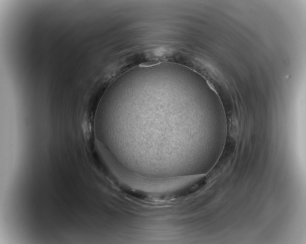 X0000098070324200804110927