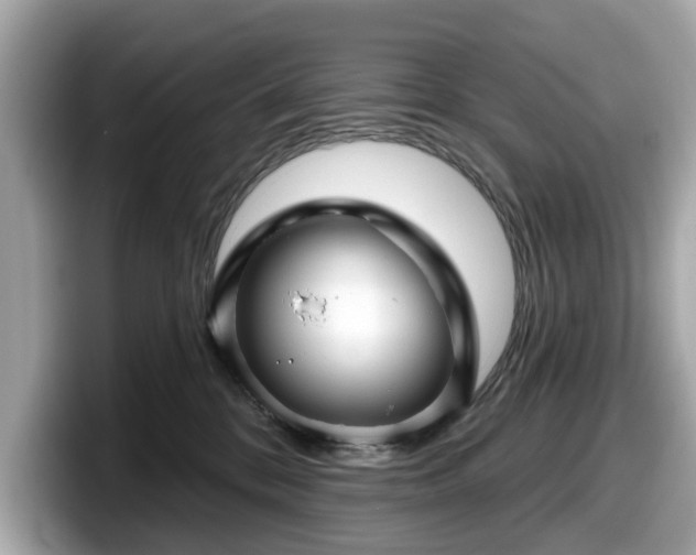 X0000098070328200804110927