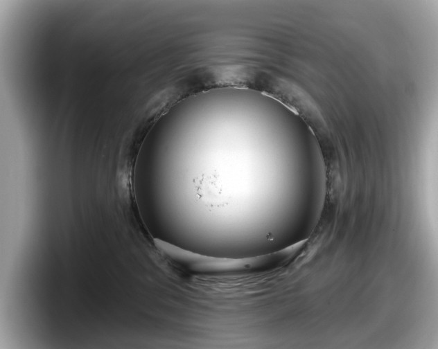 X0000098070329200804110927