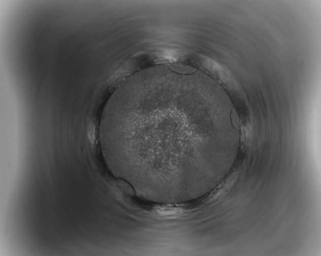 X0000098070331200804110927