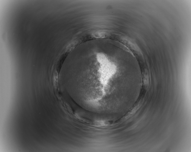 X0000098070332200804110927