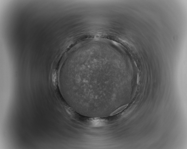 X0000098070336200804110927