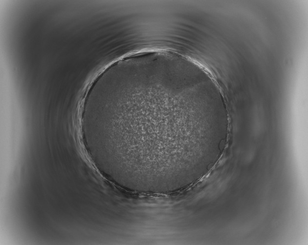 X0000098070337200804110927