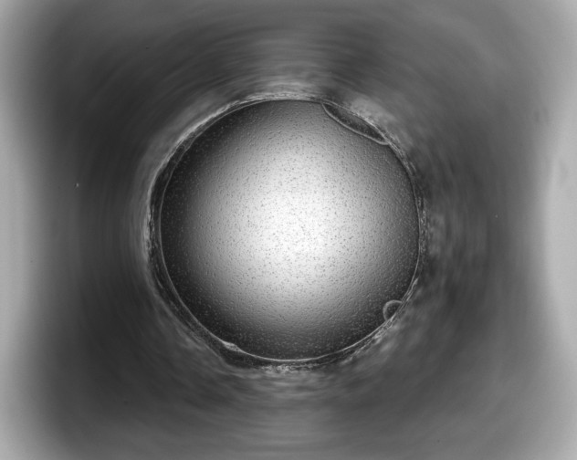 X0000098070338200804110927