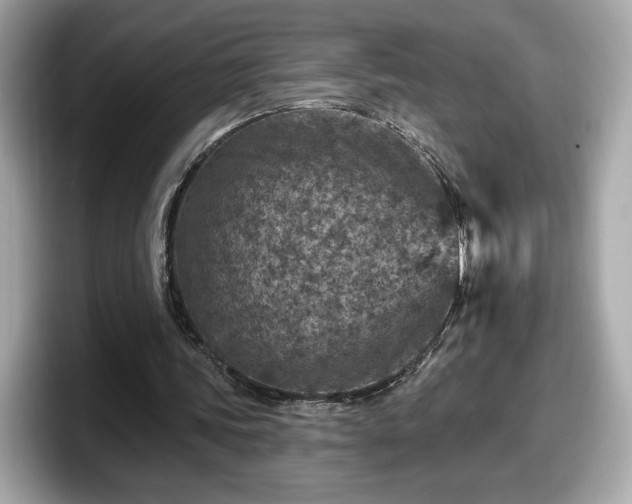 X0000098070339200804110927