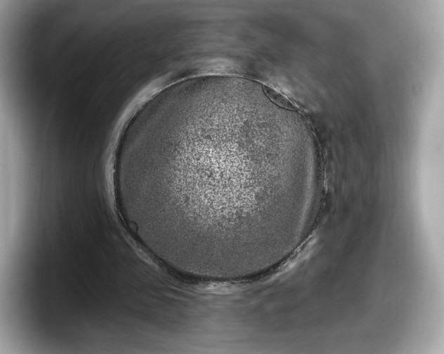 X0000098070341200804110927