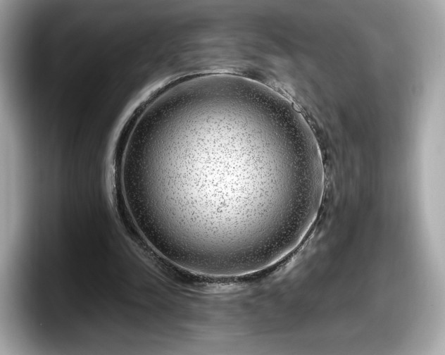 X0000098070342200804110927