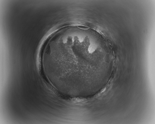 X0000098070343200804110927