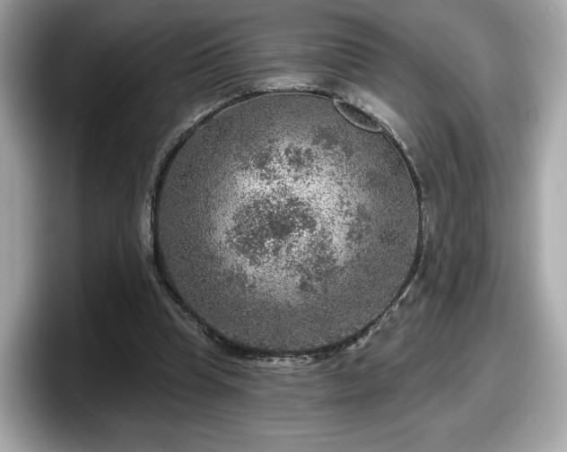 X0000098070345200804110927