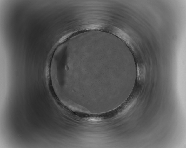 X0000098070348200804110927