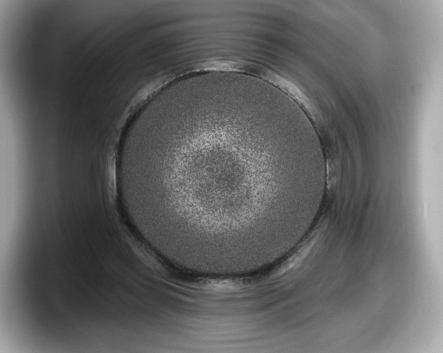 X0000098070349200804110927