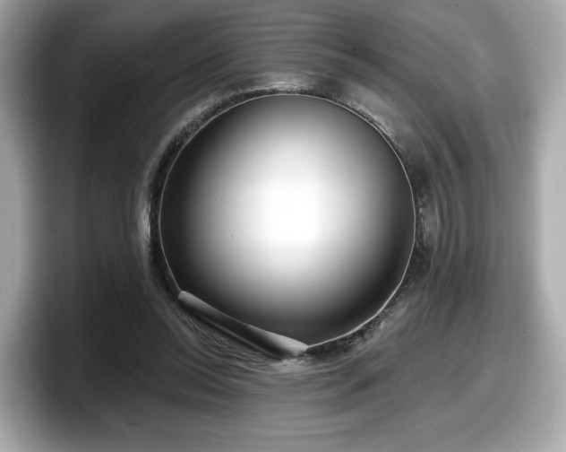 X0000098070350200804110927