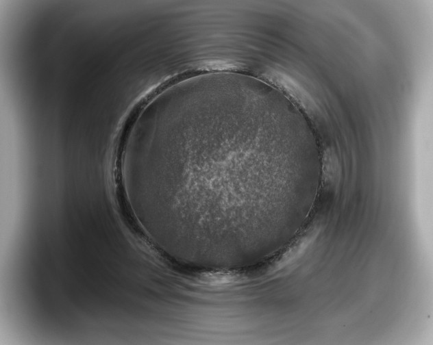 X0000098070351200804110927