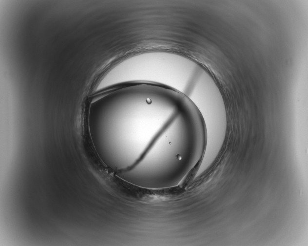 X0000098070352200804110927