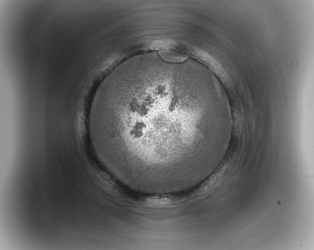 X0000098070354200804110927