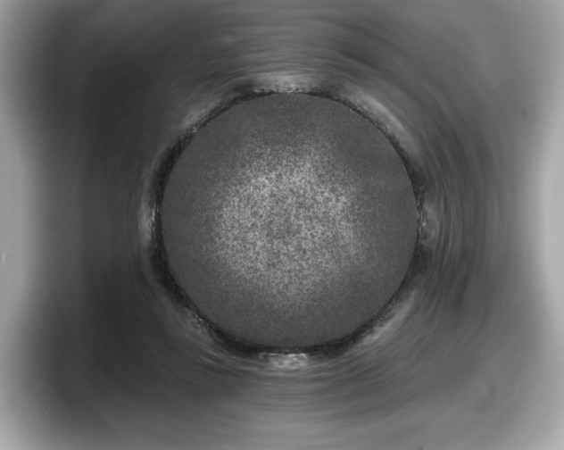 X0000098070355200804110927