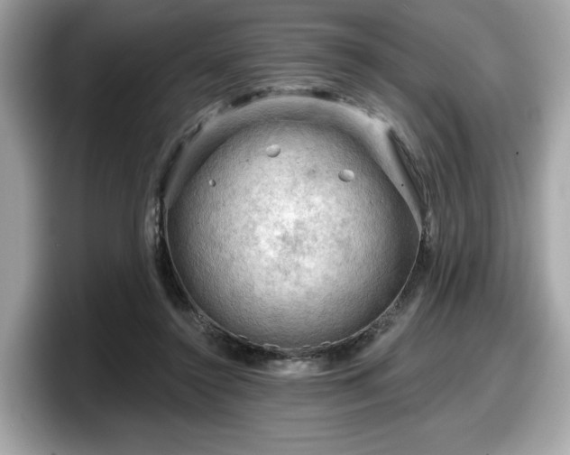 X0000098070356200804110927