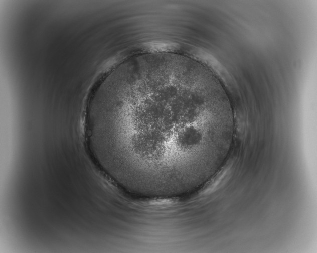 X0000098070357200804110927