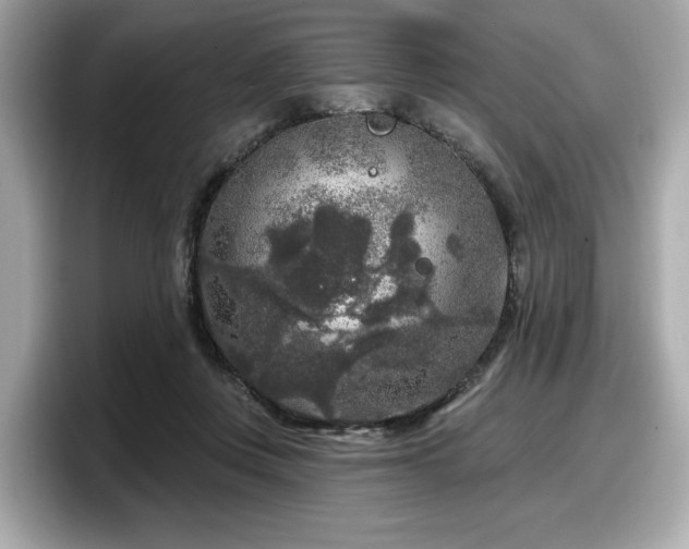 X0000098070359200804110927