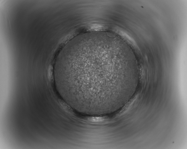 X0000098070361200804110927