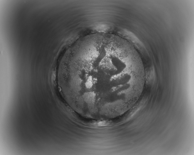 X0000098070365200804110927