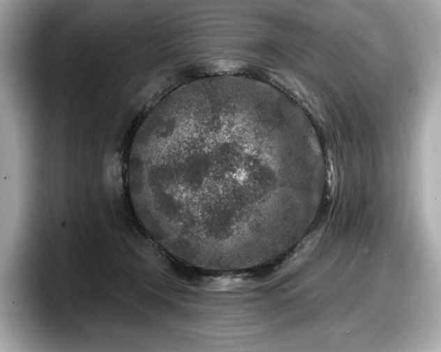 X0000098070366200804110927