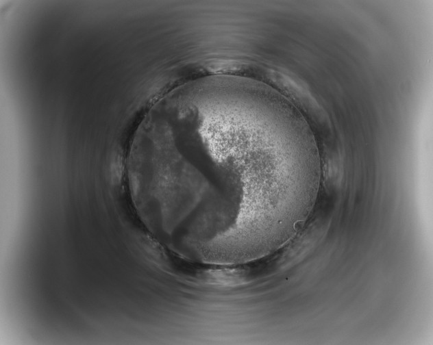 X0000098070367200804110927