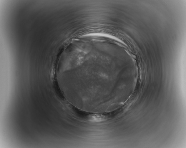 X0000098070372200804110927