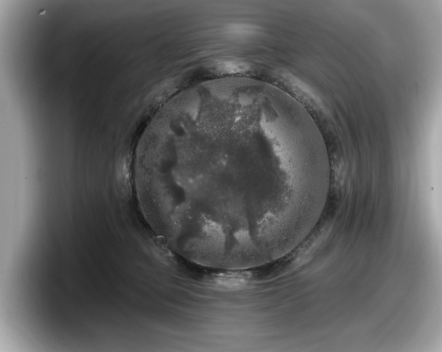 X0000098070373200804110927