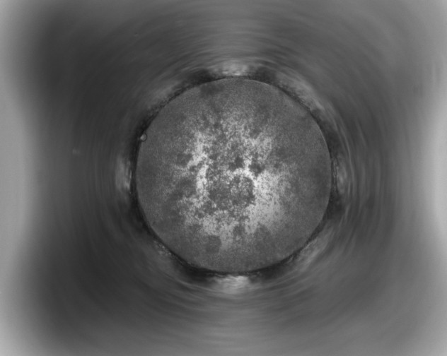 X0000098070374200804110927