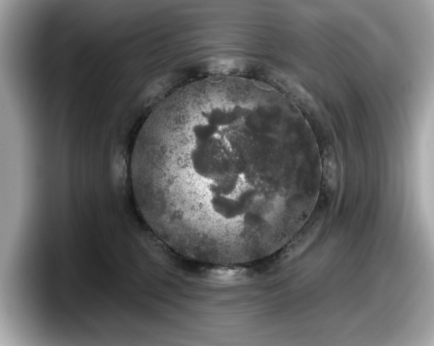 X0000098070375200804110927