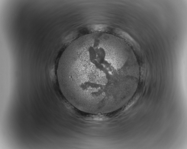 X0000098070377200804110927