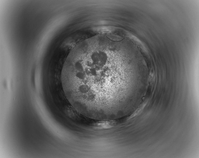 X0000098070381200804110927