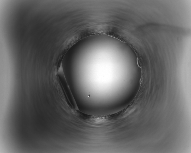 X0000098070384200804110927